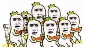 喵星娱乐吃瓜群众